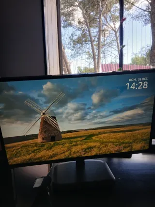 Monitor Acer Negro