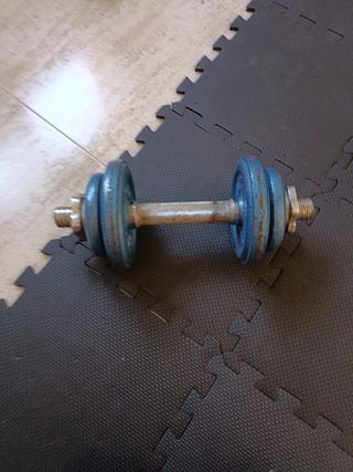 Mancuerna 10 kg