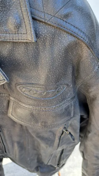 Completo Harley Davidson Pelle Frxg