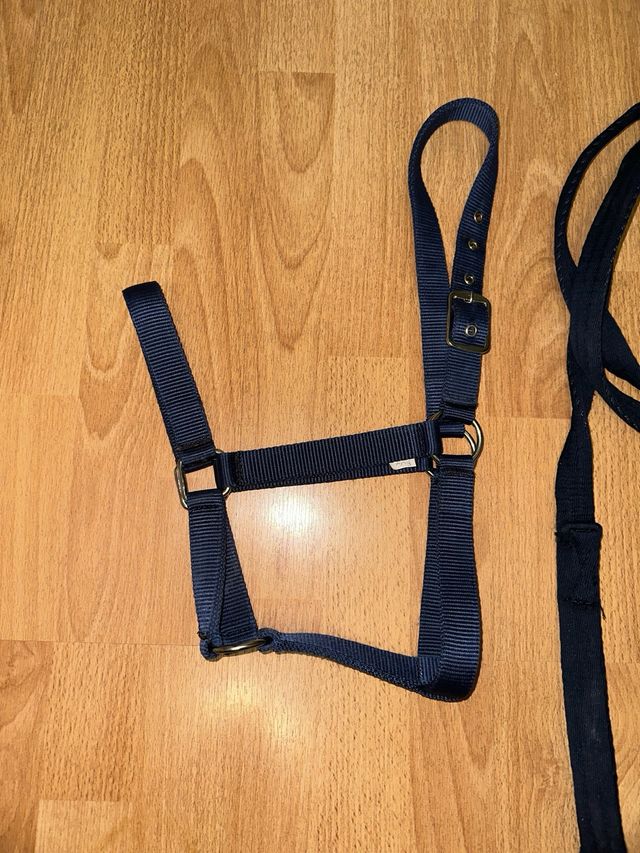 Cabezón y ramal para caballos