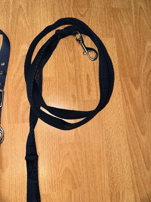 Cabezón y ramal para caballos