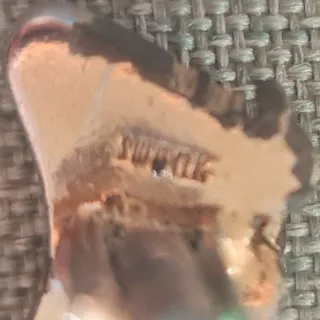 Gemelos Carro Carreta Salvaje Oeste