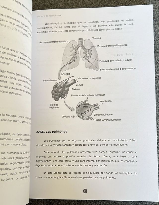 Técnico en acupuntura - Manual del Alumno 