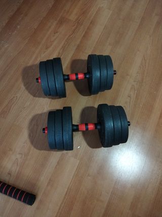 Mancuernas con discos y barras