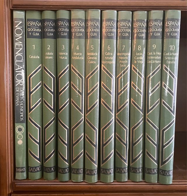 ESPAÑA: GEOGRAFÍA Y GUÍA de Salvat