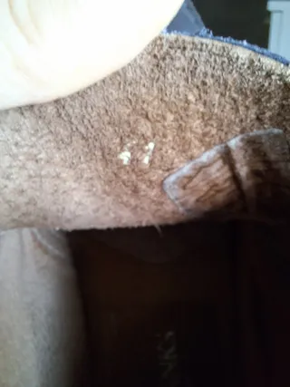 Scarpe uomo tipo Clark blu