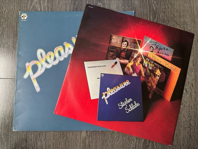 Vinile Stephen Schlaks Pleasure