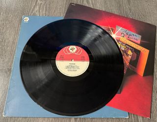 Vinile Stephen Schlaks Pleasure