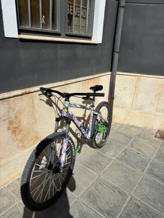 Bicicleta MTB customizada