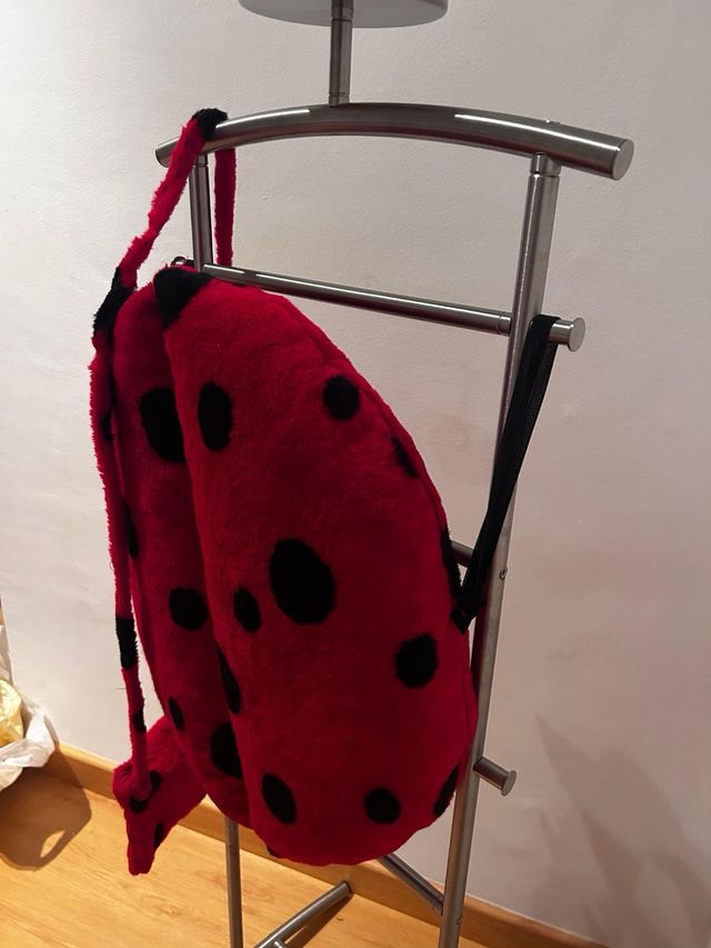 Disfraz Mariquita Niña o niño