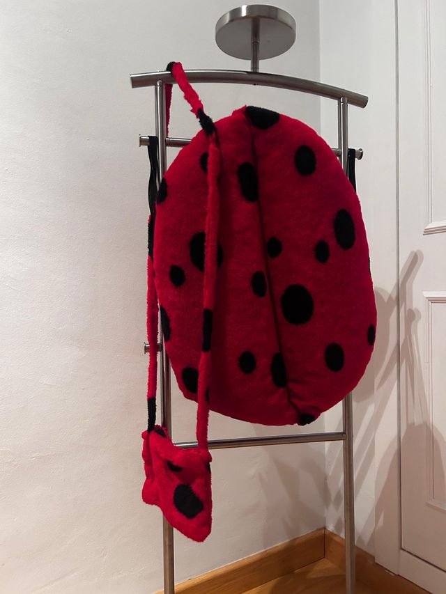 Disfraz Mariquita Niña o niño