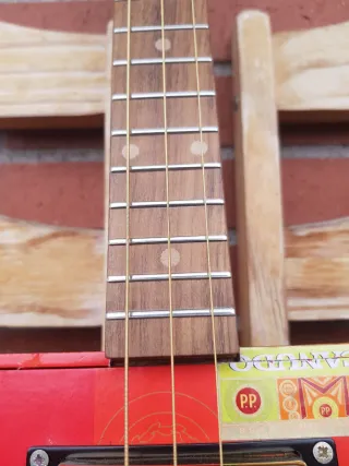 Cigar Box Guitar