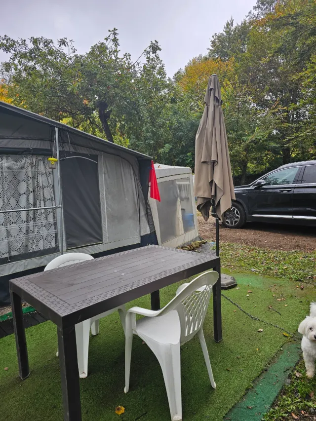 Mesa y 4 Sillas Exterior