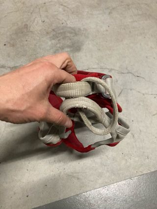 Arnés de escalada Petzl Sama