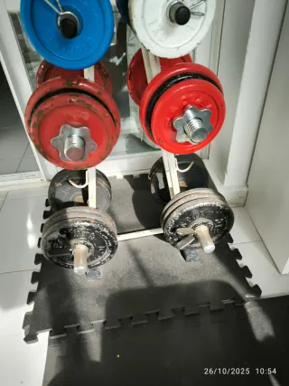 Mancuernas y discos gimnasio