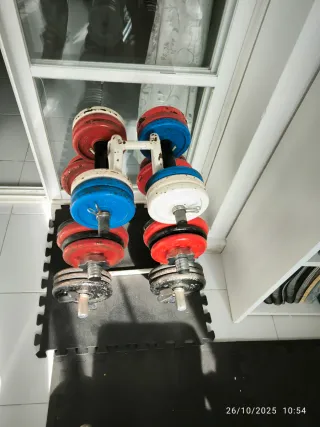 Mancuernas y discos gimnasio