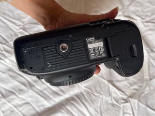 Canon 5D Mark III + 24-70mm f2.8 + 50mm f1.8