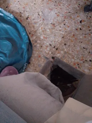 Copas de vino de cristal bohemia