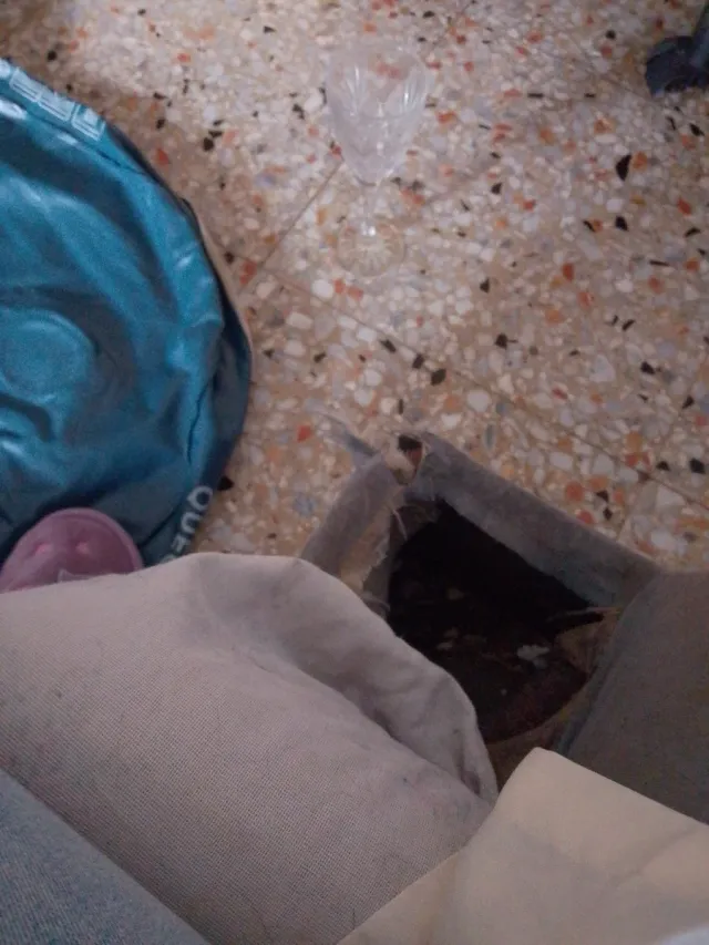 Copas de vino de cristal bohemia