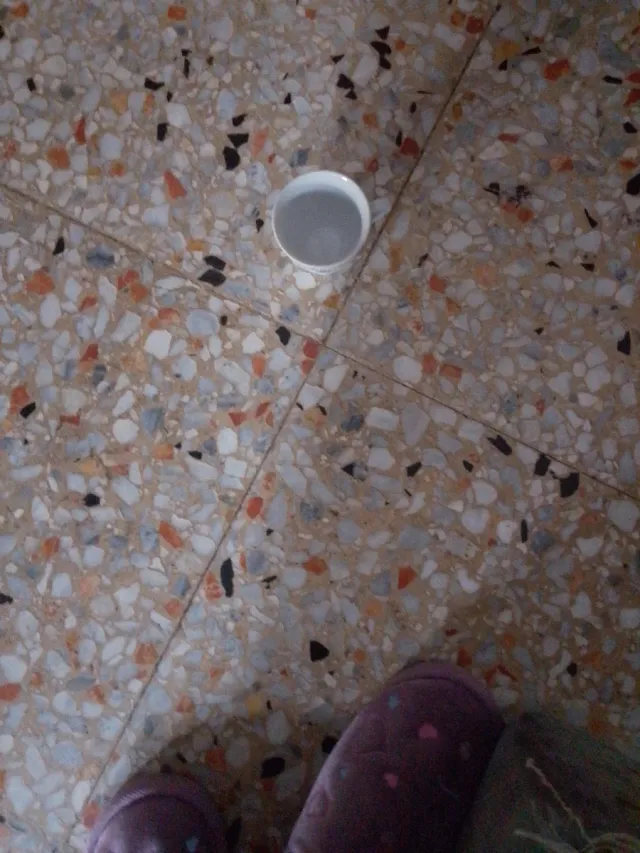 Tazas de vidrio moradas