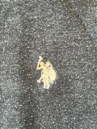 Felpa U.S. Polo Assn. Grigia