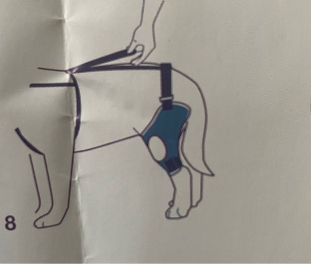 Supporto ginocchio cane Balto