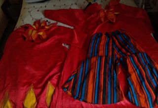 Disfraces Carnaval Piezas Sueltas