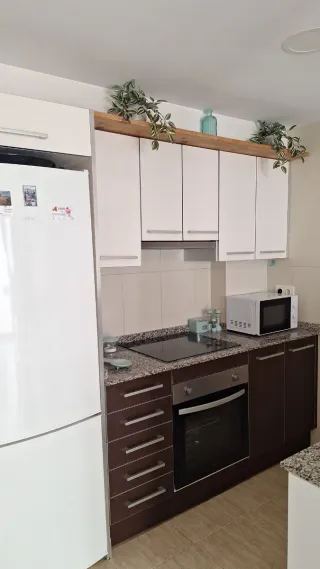 PISO CALAFELL Semana Dias Meses