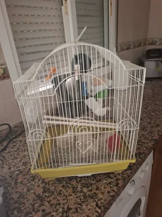 Jaula para pájaros blanca y amarilla