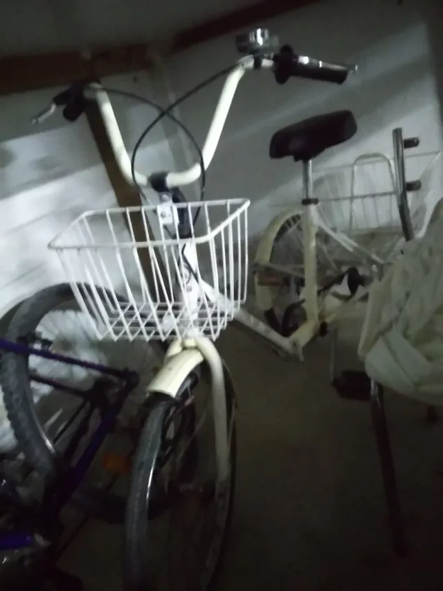 Triciclo Bicicleta Blanca , con cestas .