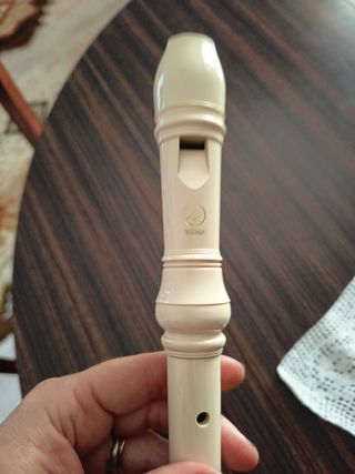 Flauto dolce in plastica