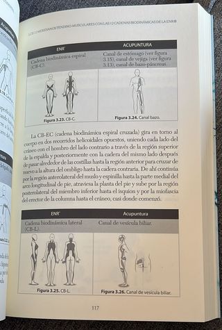 Acupuntura. Una farmacia en el cuerpo