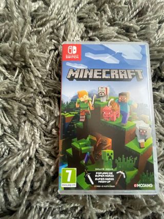 Minecraft Nintendo Switch