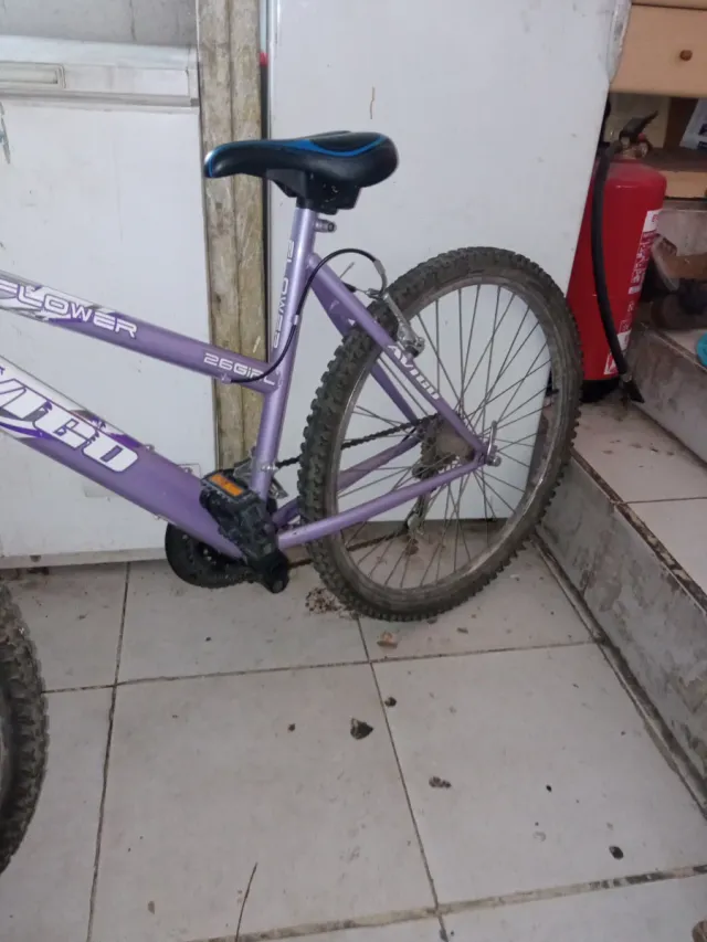Bicicleta Morada 26 FLOWER