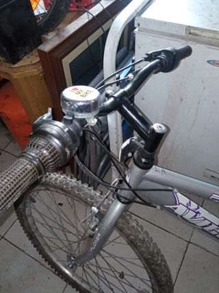 Bicicleta Morada 26 FLOWER