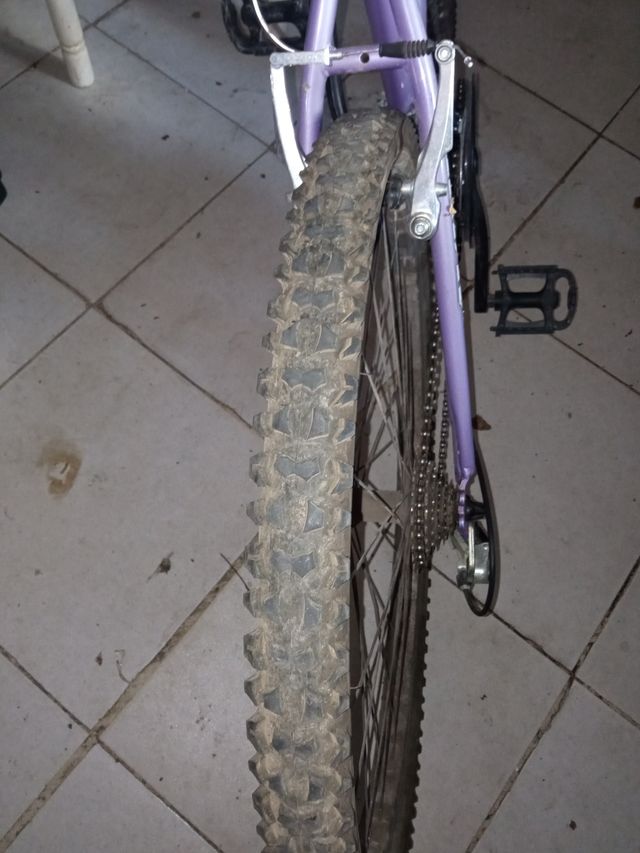 Bicicleta Morada 26 FLOWER