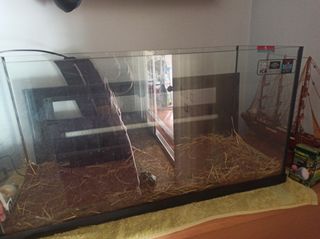 Acuario grande con luces y filtro. De 100 litros