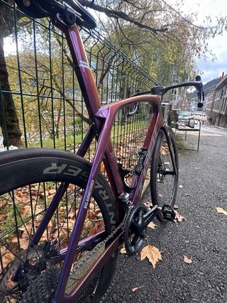 Trek Madone SLR 7 púrpura