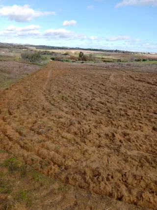 Terreno con escrituras en venta en Bollullos del c