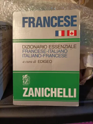 Francese. Dizionario essenziale francese-italia...