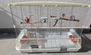 Jaula grande para pájaros