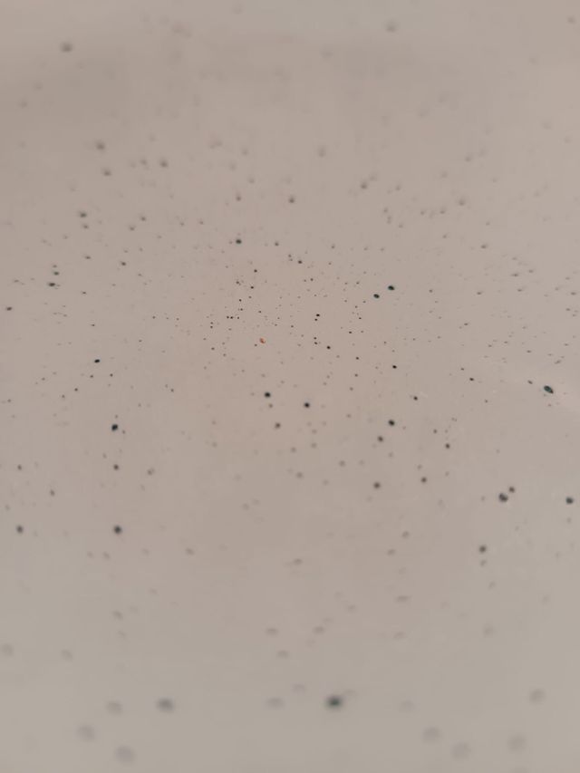 Platos de cerámica azul y marrón