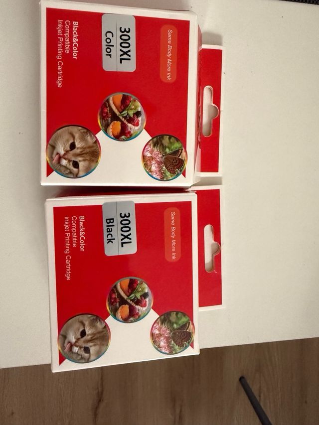 2 Cartuchos Tinta 300XL Negro- ColorCompatible