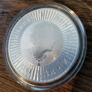 Moneda Plata 1 Onza Canguro Australiano 2020
