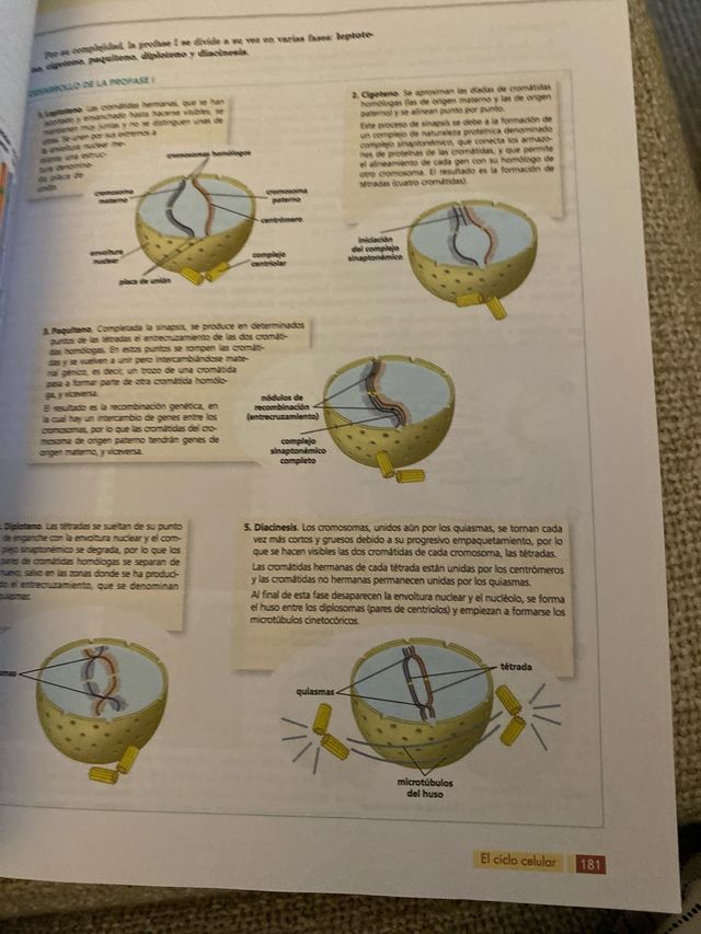 BIO (BIOLOGIA) 2¼ BACHILLERATO AULA 3D