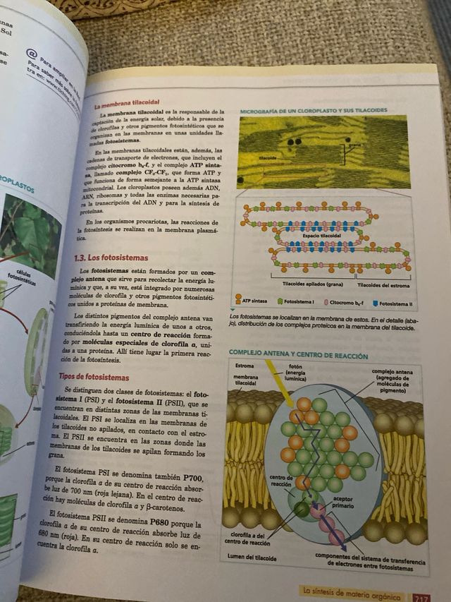 BIO (BIOLOGIA) 2¼ BACHILLERATO AULA 3D