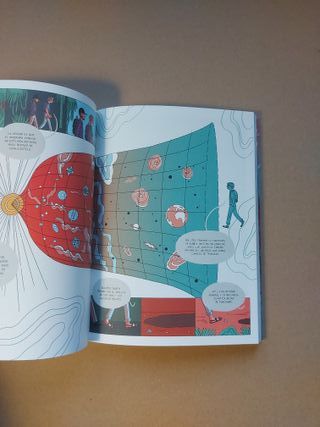 Loops: El universo y sus teorías: una conversac...