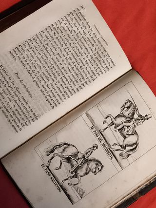 LIBRO ANTIGUO CRIA DEL CABALLO MULA, ASNO AÑO 1843