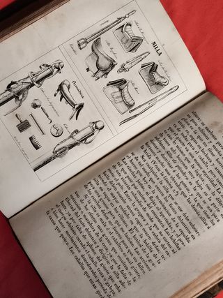 LIBRO ANTIGUO CRIA DEL CABALLO MULA, ASNO AÑO 1843