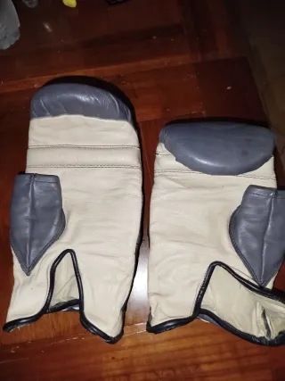 Guanti Kickboxing Leone Pelle